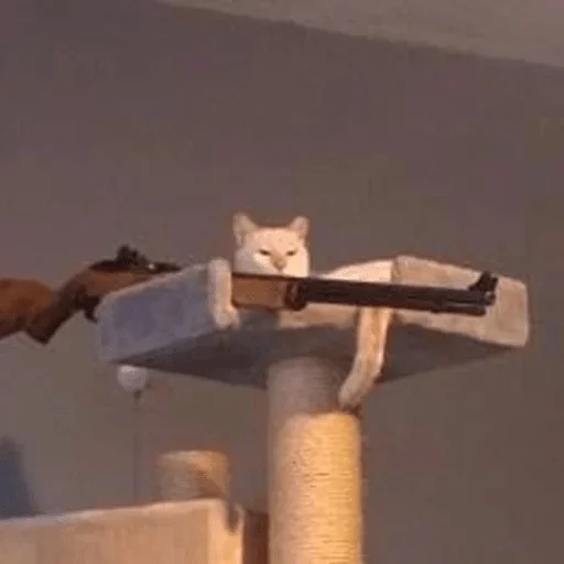 оружие стена на открытом воздухе