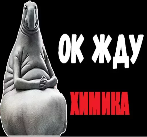 Твои стикеры — @stckrRobot - text