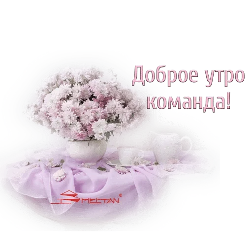 Стикер Виктория Малюта / Lite Biz — @stckrRobot - 8