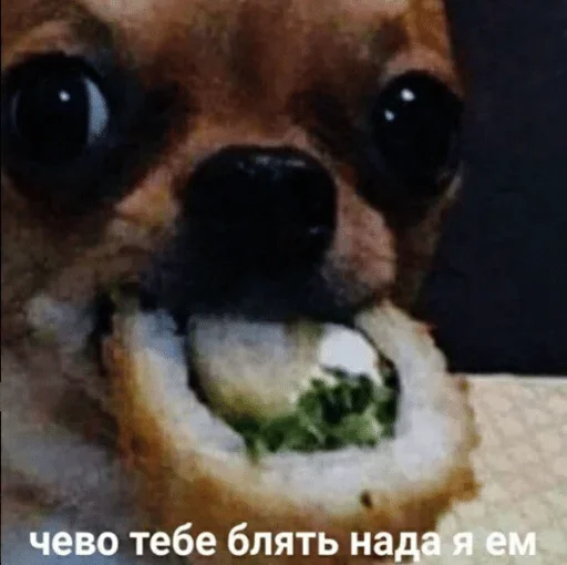 Стикер длявп — @stckrRobot - 7