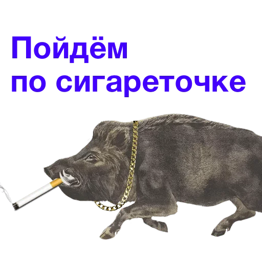 собака млекопитающее животное