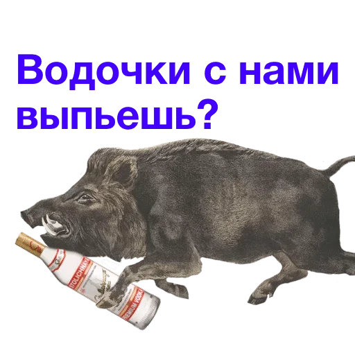 млекопитающее животное СМС