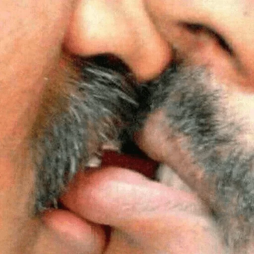 Стикер Фальш — @stckrRobot - 3