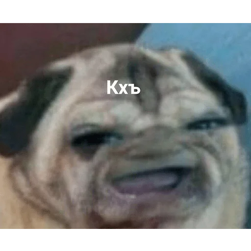 Sticker so_only_memes — @stckrRobot - 5