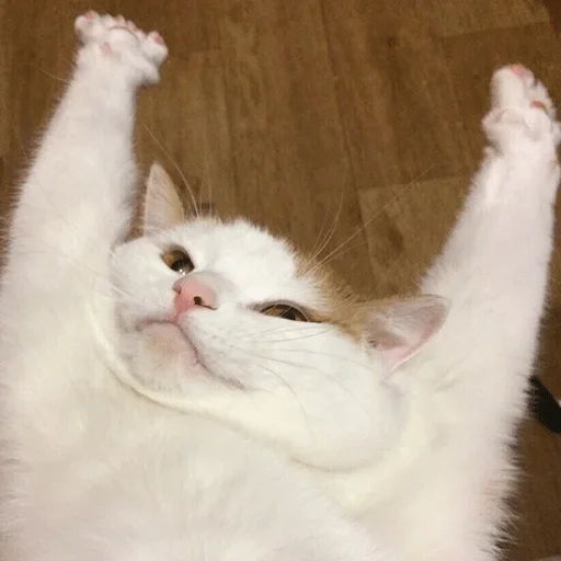 Sticker so_only_memes — @stckrRobot - 3