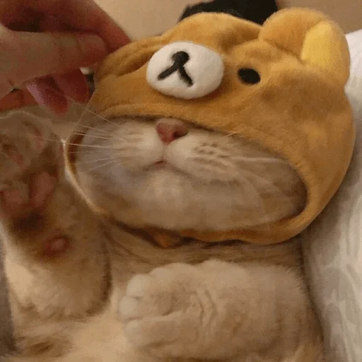 мех мягкая игрушка плюш