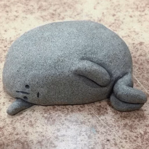 животное морские млекопитающие водные млекопитающие