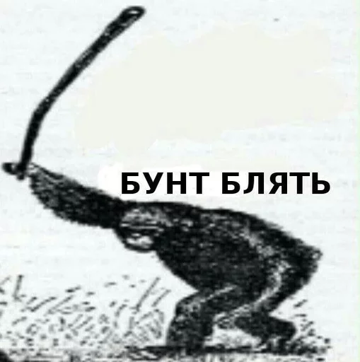 СМС эскиз обезьяна