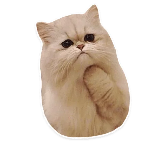 Sticker Зал УПА — @stckrRobot - 3