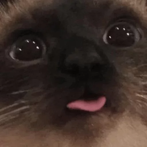 Зал УПА — @stckrRobot - 