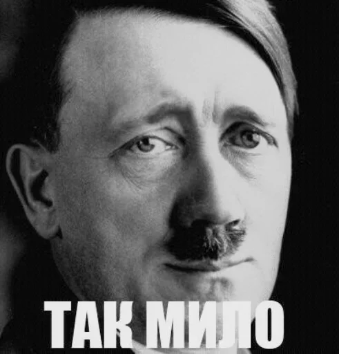 человеческое лицо бровь портрет