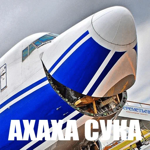 плоскость Авиаперелеты транспортное средство