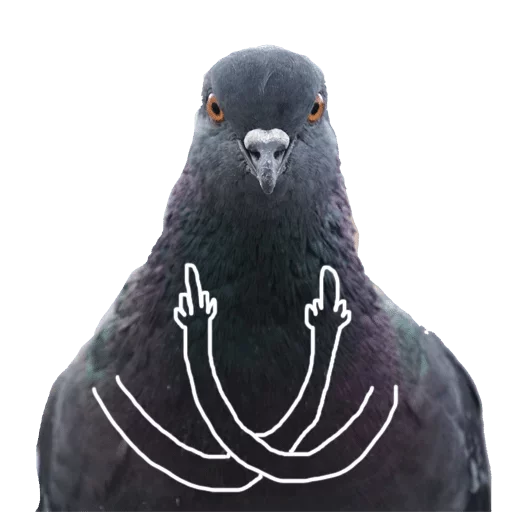 Стикер Мои стикеры - мест хэв — @stckrRobot - 9