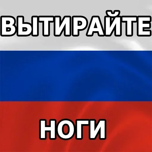 Sticker соси хуй светы — @stckrRobot - 7