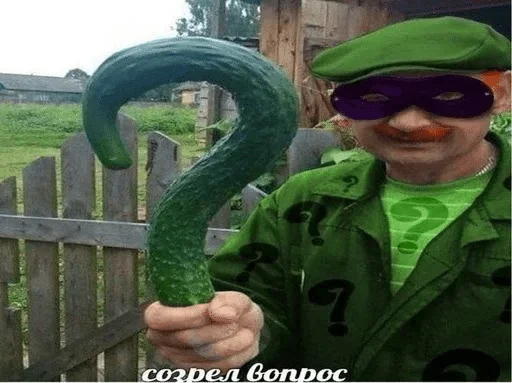 Sticker соси хуй светы — @stckrRobot - 4