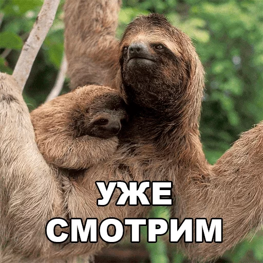 Sticker dlya vajnih peregovorov — @stckrRobot - 5