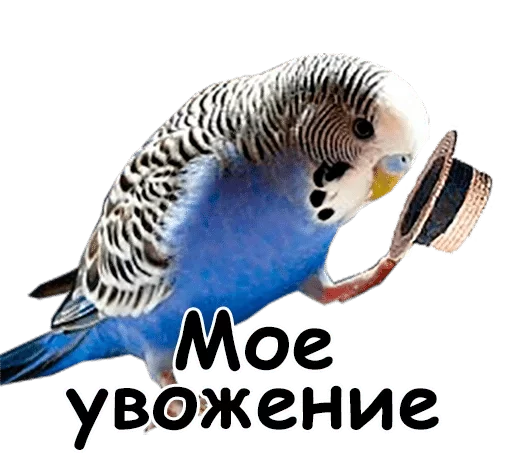 Sticker dlya vajnih peregovorov — @stckrRobot - 1