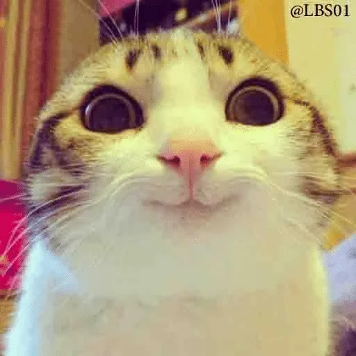 Остопиздило — @stckrRobot - животное