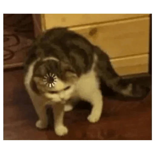 Sticker Vlana1 — @stckrRobot - 7