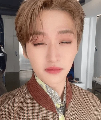 Человек человеческое лицо комнатный