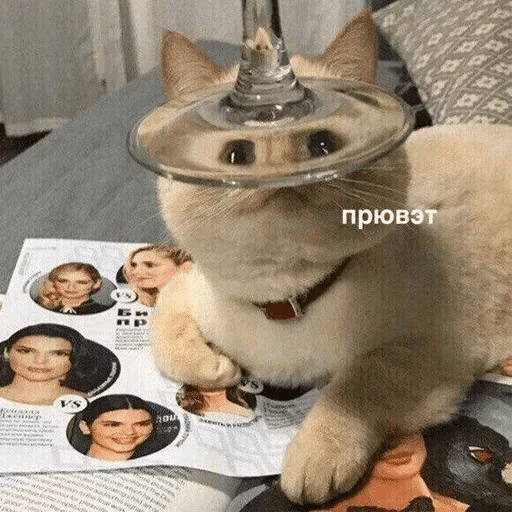 human face indoor newspaper