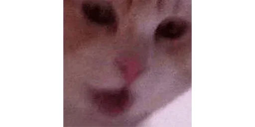 кожа Макросъемка плоть