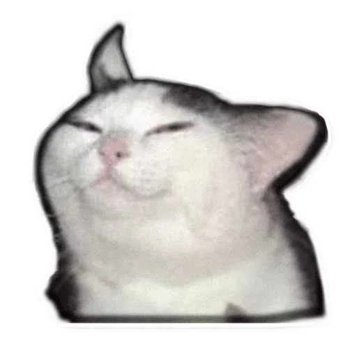 Литий и стенания, pt2 — @stckrRobot - СМС