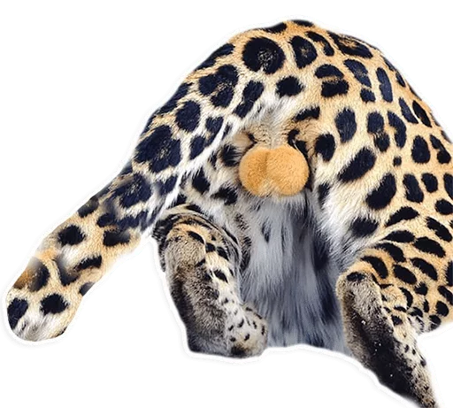 животное млекопитающее наземное животное