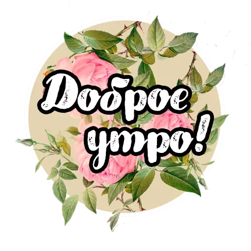 Твои стикеры — @stckrRobot - СМС