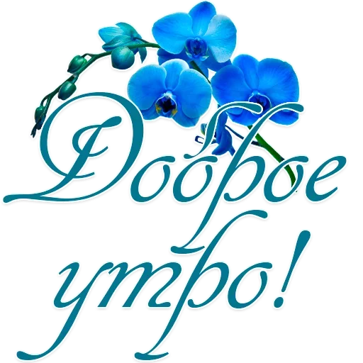 цветок графика рисование