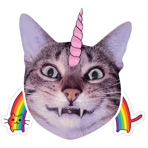 small to medium-sized cats whiskers domestic cat