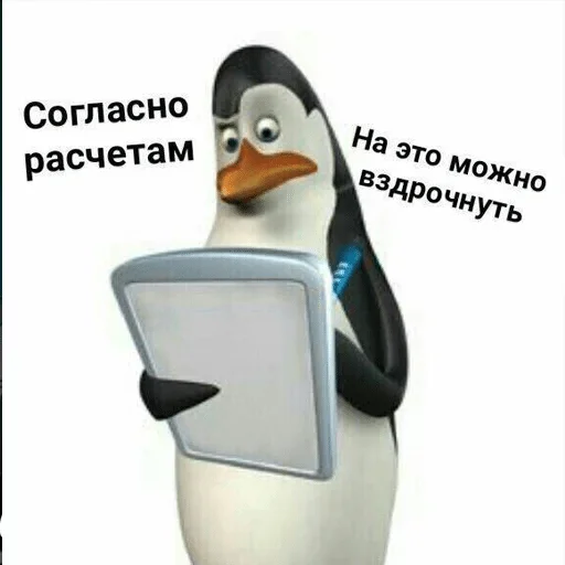 cartoon penguin design