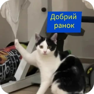 Стикер Спільнота @MoiStikiBot - 1