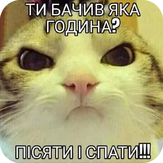 Стикер Спільнота @MoiStikiBot - 7