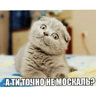 Стикер Спільнота @MoiStikiBot - 6