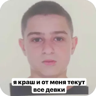 Sticker сп собаки @MoiStikiBot - 7