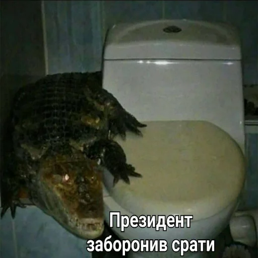 Sticker симсгусси — @stckrRobot - 0