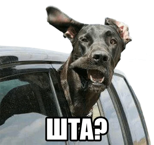 СМС автомобиль транспортное средство