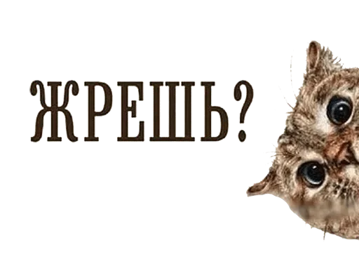 СМС шрифт графический дизайн