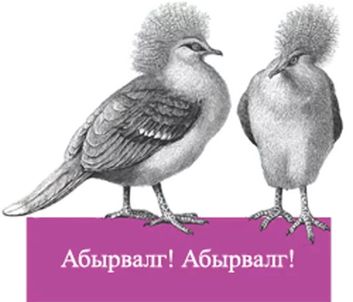 животное птица клюв