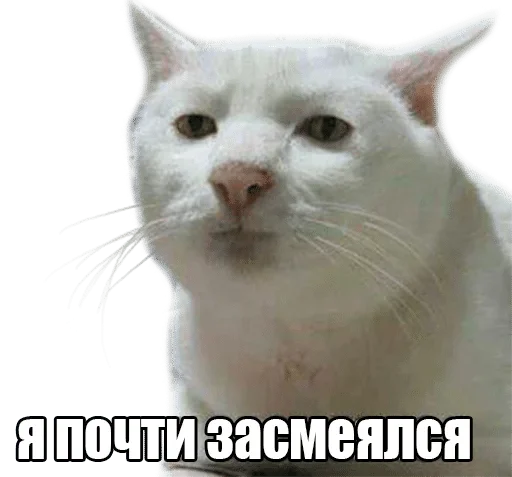 Sticker by @dorofeshkaa 🤡♥️ — @stckrRobot - 6