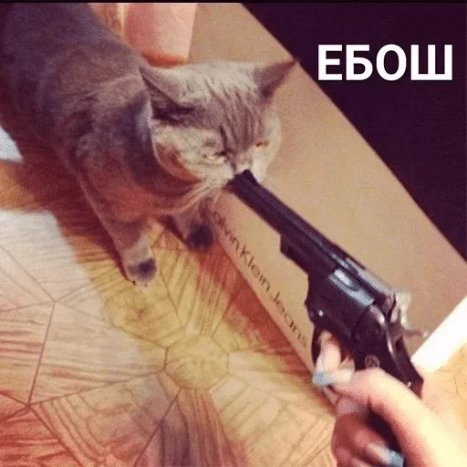 Sticker by @dorofeshkaa 🤡♥️ — @stckrRobot - 1