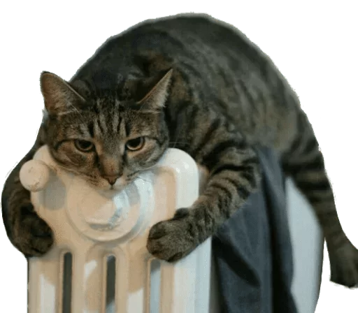 Sticker Cats — @stckrRobot - 10