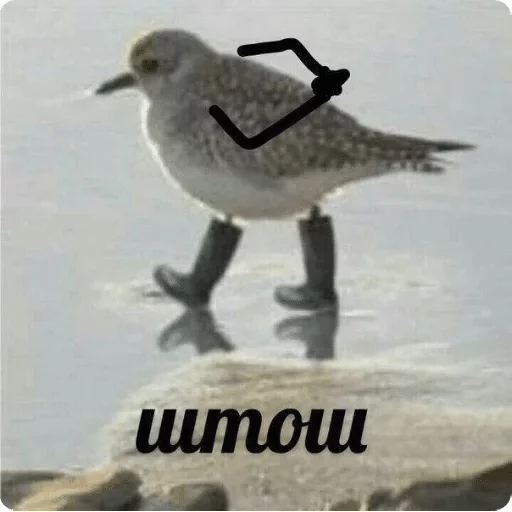 T.A.T.K.A — @stckrRobot - cartoon