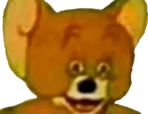 орхидея растение цветок