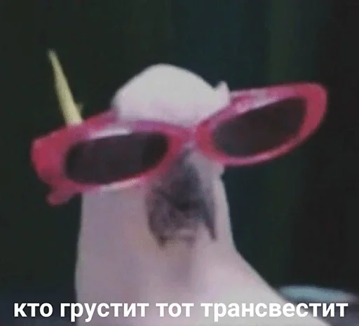 аксессуар защитные очки Очки