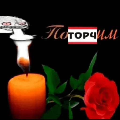 candle rose still life photography