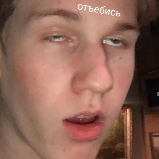 human face eyelash eyebrow