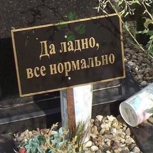 СМС на открытом воздухе растение