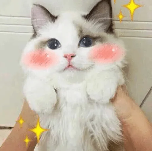 кошка млекопитающее животное